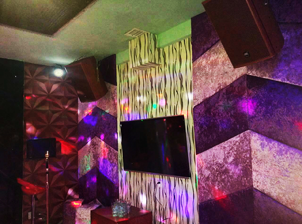 專業(yè)KTV音響加入四川藍(lán)魅量販KTV