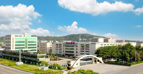 羅浮山國藥集團禮堂多功能廳擴聲系統