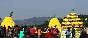 爵士龍舞臺音響設備注入梁平采柚節開幕式 爵士龍舞臺音響設備注入梁平采柚節開幕式